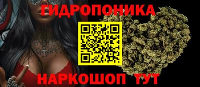 ПСИЛОЦИБИНОВЫЕ ГРИБЫ Берёзовский