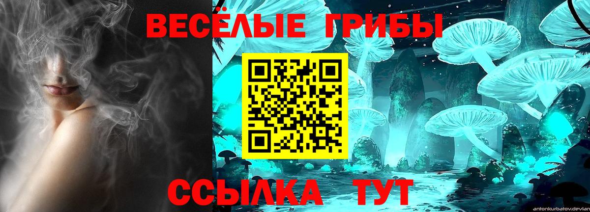 Владимир  Псилоцибиновые грибы мицелий  Вход с VPN 